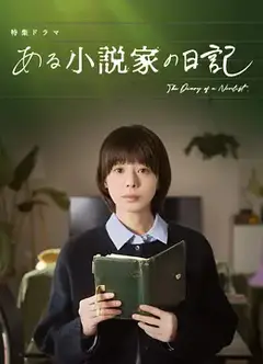 某小说家的日记