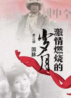 激情燃烧的岁月3