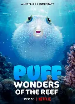 河豚之家：神奇的珊瑚礁