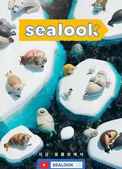 海豹看看