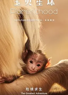 宝贝星球