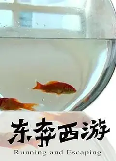 11度青春之《东奔西游》