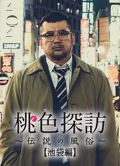 桃色探访