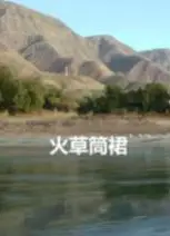 火草筒裙