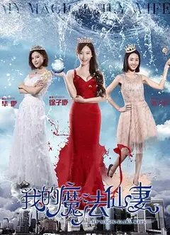 我的魔法仙妻