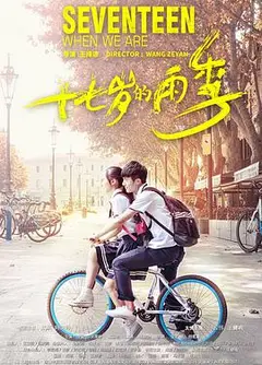 十七岁的雨季