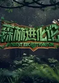 森林进化论