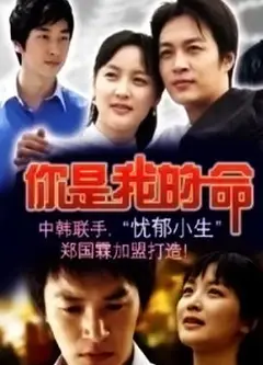 你是我的命