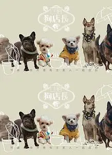 狗店长粤语