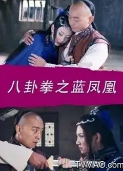 八卦拳之蓝凤凰