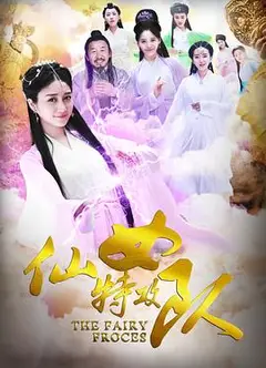 仙女特攻队
