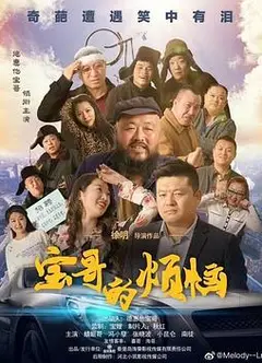 宝哥的烦恼