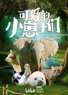 可爱的小崽子们