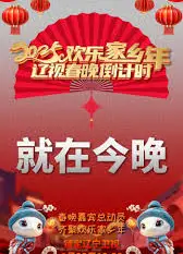 辽视春晚倒计时欢乐家乡年 2025