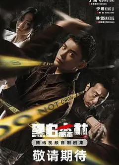 黑白森林剧版