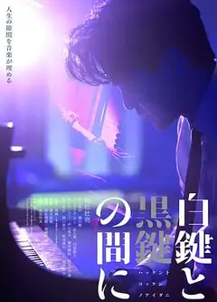 白键与黑键之间