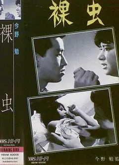 裸虫