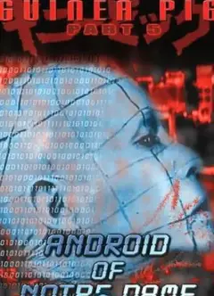 豚鼠系列之6：圣母机器人