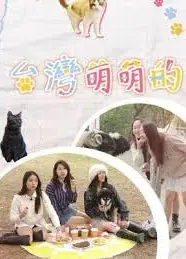 台湾萌萌的