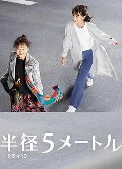 半径5米