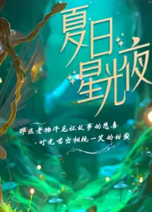 夏日星光夜第一季