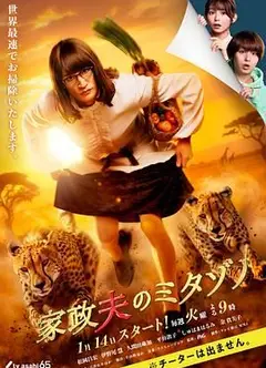 家政夫三田园 第7季