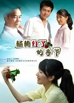 杨梅红了的季节