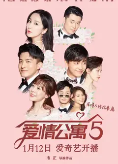 爱情公寓5