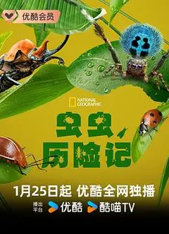 虫虫历险记