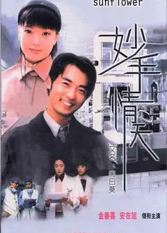 妙手情天