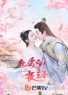 亲爱的夜王子