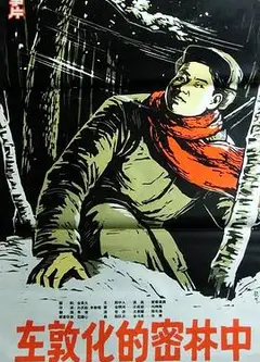 在敦化的密林中