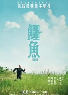 鳄鱼