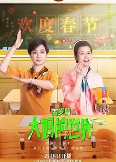 大妈的世界 贺岁篇