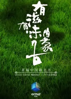 有滋有味内蒙古