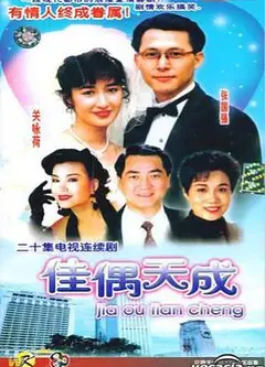 佳偶天成国语