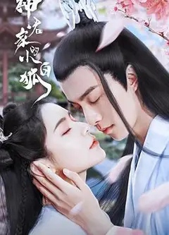 神君家的小白狐