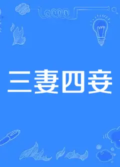 三妻四妾
