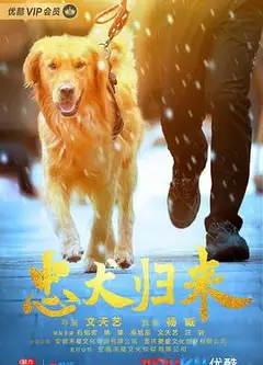 忠犬归来