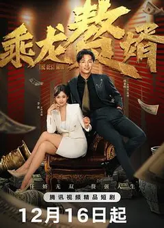 乘龙赘婿