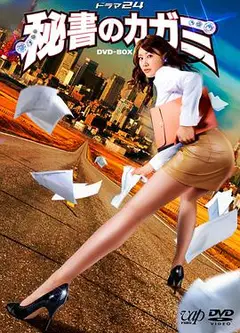 模范秘书