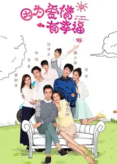 因为爱情有幸福[DVD版]