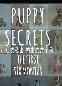 小汪的秘密