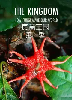 真菌王国第一季