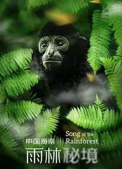 中国海南·雨林秘境