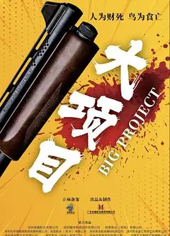 大项目
