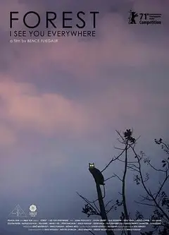 森林随处可见