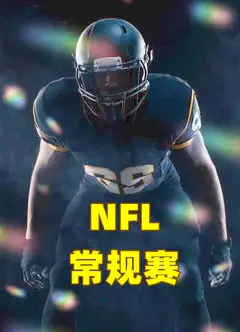 NFL常规赛-黑豹vs海鹰-20221212