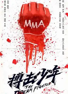 搏击少年