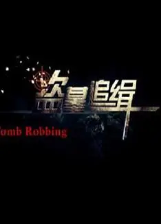 盗墓追缉